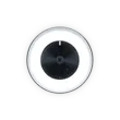 Razer Kiyo Streaming Webcam:...