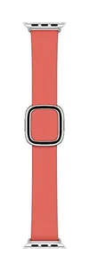 Apple Watch Band - Modern...