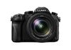 Panasonic Lumix DMC-FZ2000EG...