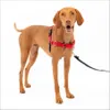PetSafe Easy Walk Dog...