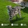 Tractive Smart Cat Gps...