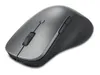 Lenovo Professional - Mus -...