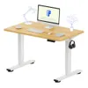 FLEXISPOT EN1 40"x24"...