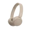 Sony WH-CH520 Wireless...