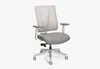 Clarksville Ergonomic Chair...