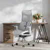 Ergonomic Office Chair, with...