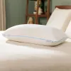 Tempur-Cloud Adjustable Pillow