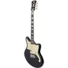 D'Angelico Premier Series...