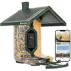 Scout Wi-Fi Solar Powered...