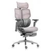 Hinomi X1 Ergonomic Office...