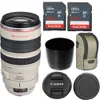 Canon EF 100-400mm f/4.5-5.6L...