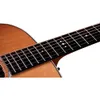 Taylor Gold Label 710e...