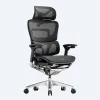 OdinLake O1 (Ergo PLUS 743) |...