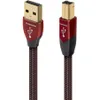 AudioQuest Cinnamon USB...