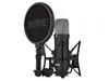 Rode NT1 Signature...