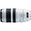 Canon EF 100-400mm f/4.5-5.6L...