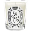 Diptyque Eucalyptus Scented...