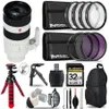 Sony FE 70-200mm f/2.8 GM OSS...
