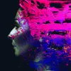 Hand.Cannot.Erase [VINYL]