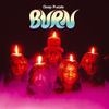 Burn [30th Anniversary...