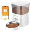 ROJECO Automatic Cat...