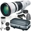 Canon EF 600mm f/4L IS III...