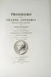 Prodromo della grande...