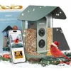 Kiwibit Beako™ Smart Bird...