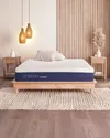 Onebed Original Mattress