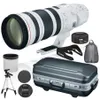 Canon EF 1.4X 200-400mm f/4...