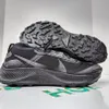 Nike Pegasus Trail 3 Gore-Tex...