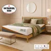 REM-Fit 600 Lux Hybrid...