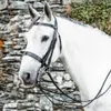 Mackey Classic Double Bridle...