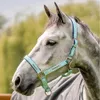 Horseware&reg; Fieldsafe Halter