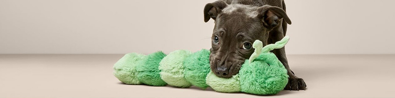 Pets at Home promotional image for a code offer
