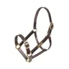 Shires GARA Fully Adjustable...