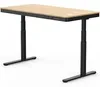 Flexispot Comhar Pro Standing...