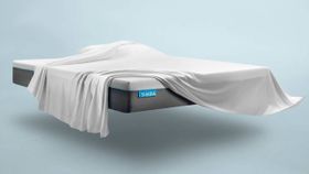 Simbatex Foam Mattress