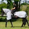LeMieux Ride On Fly Rug -...