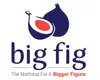 Big Fig