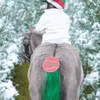 Equetech Christmas Tail...