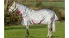 Swish Equestrian Horse Fly...