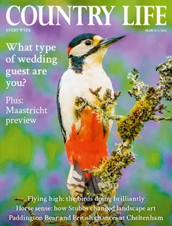 Country Life Subscription