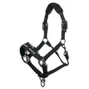ProSafe Horse Headcollar in...
