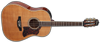 Takamine CRN-TS1 Dreadnought...