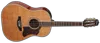 Takamine CRN-TS1 Dreadnought...