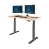 Ergo Electric Standing Desk...